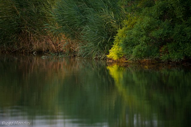 DeltaPo_Boccasette_2012lug9_dm 536.jpg